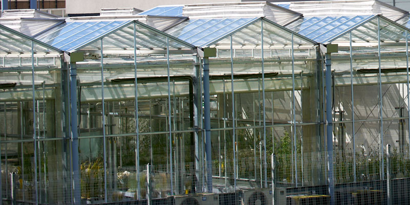 The department has a range of specialist glasshouse and controlled environment facilities.