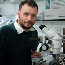 Dr Chris J H Elliott